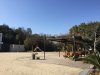 乗鞍公園 乗鞍公園