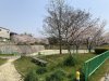 諸の木北公園 諸の木北公園