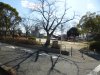 作の山公園 作の山公園