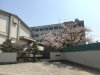 神沢中学校