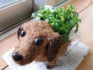 ワンちゃんの鉢植え