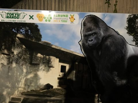 ナイトＺＯＯ (2)